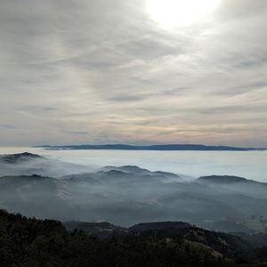 🎉SUGGESTED USER🎉